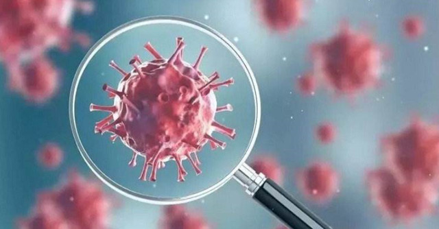 1623035840536580.jpg 1623035840536580.jpg