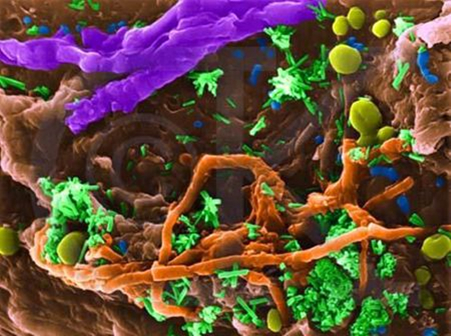 1623044306235037.jpg 1.jpg